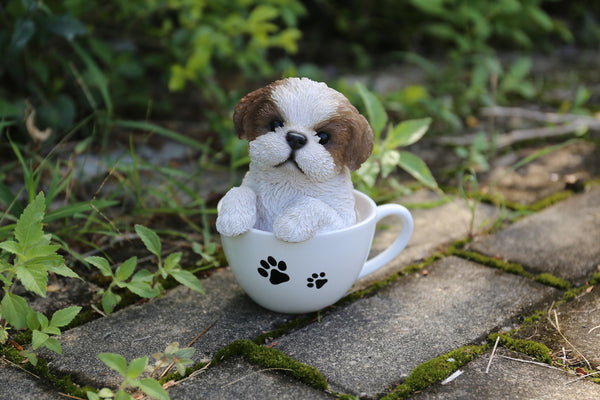 Pet Pals - Teacup Shih Tzu Puppy