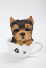 Pet Pals - Teacup Yorkshire Terrier Puppy