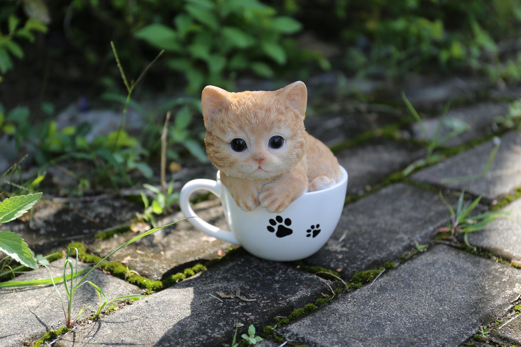 Pet Pals - Teacup Kitten Orange Tabby