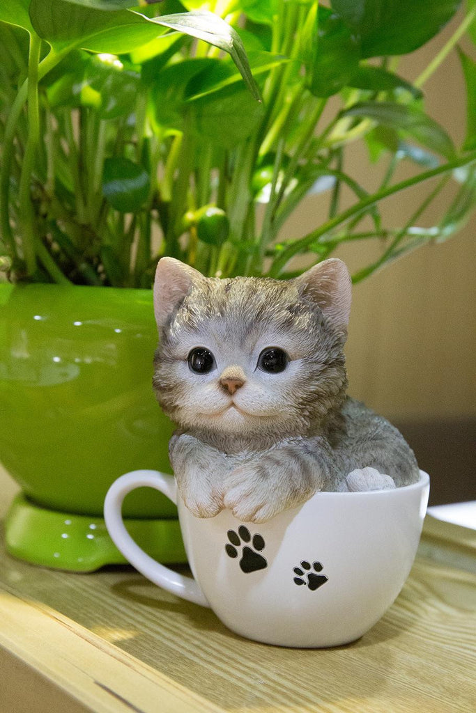 Pet Pals - Teacup Kitten Grey Tabby