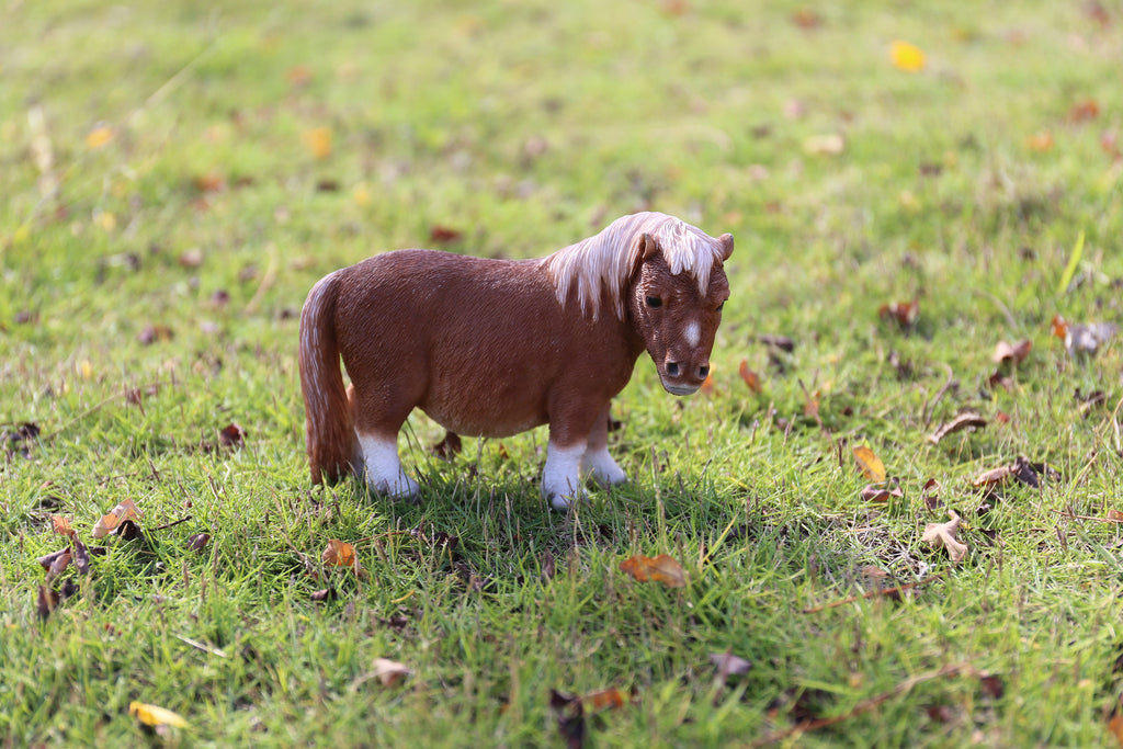 Pet Pals - Shetland Pony