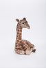 Pet Pals - Giraffe Laying Down
