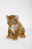 Pet Pals - Tiger Cub Sitting