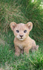 Pet Pals - Lion Cub Sitting