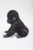 Pet Pals - Gorilla Baby Sitting