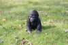 Pet Pals - Gorilla Baby Sitting