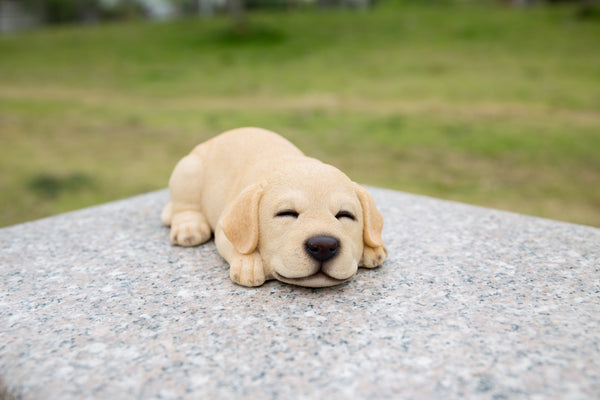 Sleeping Labrador