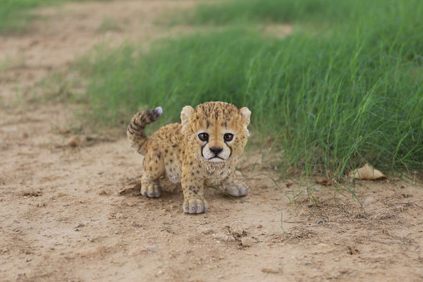 Cheetah Baby