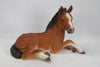 Horse Colt Laying Down-Large