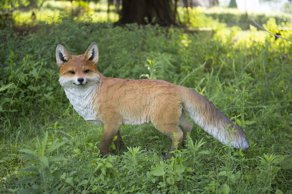 Fox Walking Statue