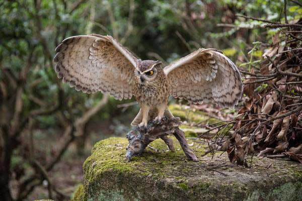 Eagle Owl On Branch with Wings Out Statue