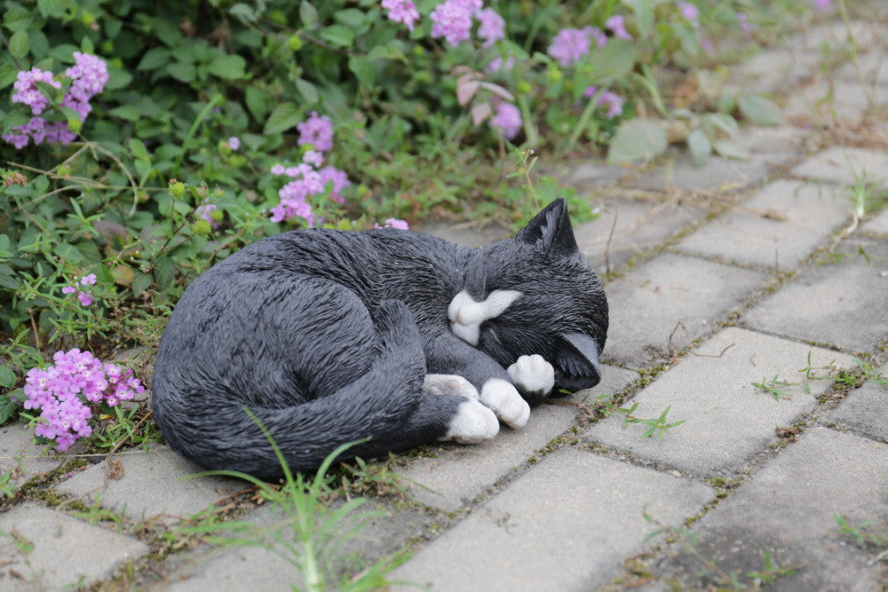 Lying Cat Sleeping  Black and White Statue