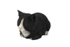 Black and White Sleeping Cat Statue