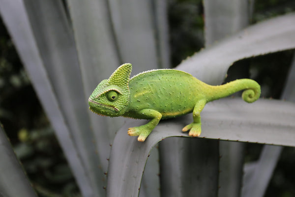 Cameleon Statue