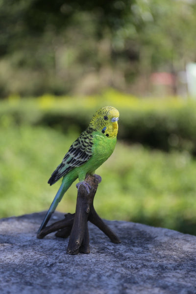 Budgie On Branch Statue