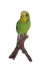 Budgie On Branch Statue