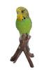 Budgie On Branch Statue