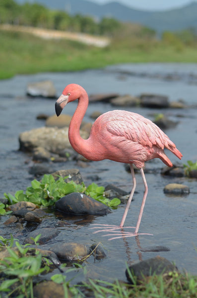 Flamingo Bird Statue