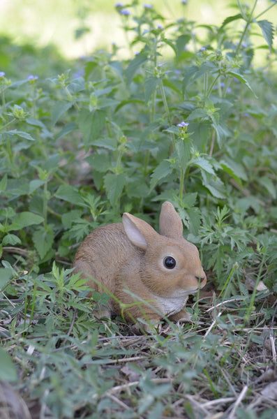 Sitting Rabbit Statue