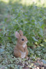 Standing Rabbit Statue - Small