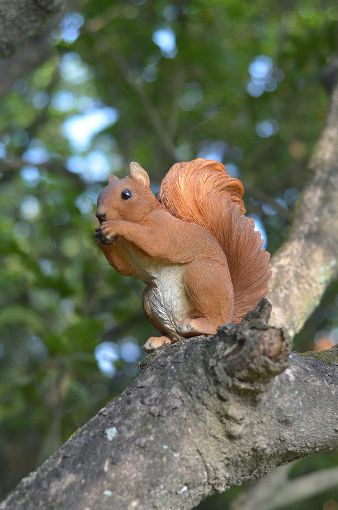 Red Squirrel Eating  Statue