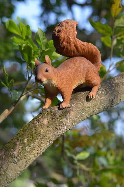 Red Squirrel Hopping Statue