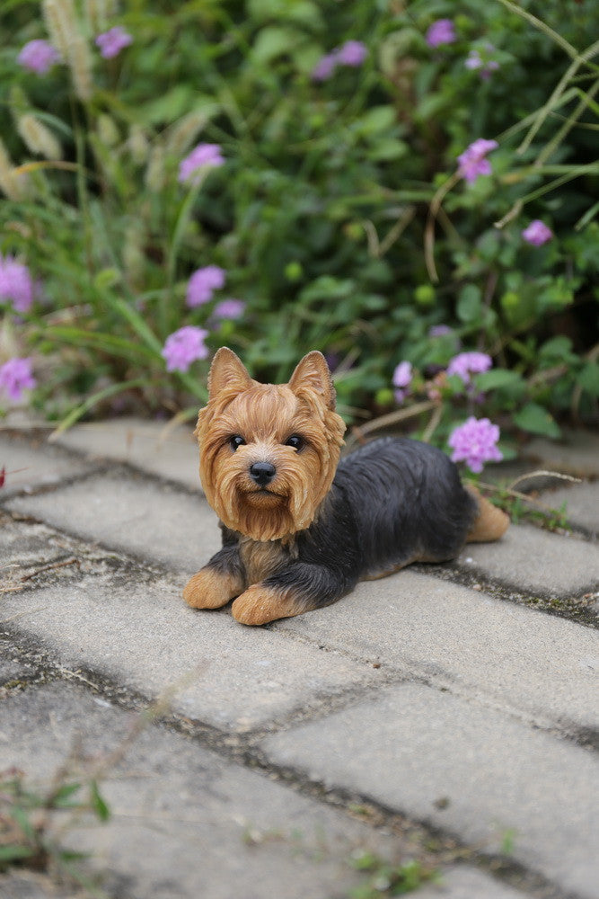 Yorkshire Terrier Dog Lying Down Statue