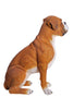 Sitting Boxer Dog Statue