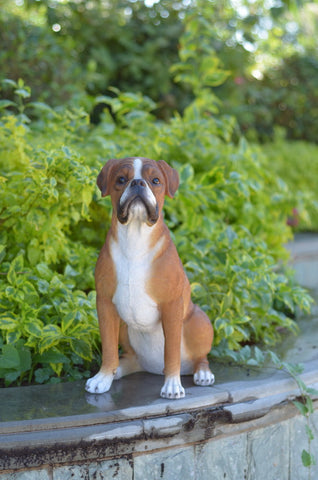 Sitting Boxer Dog Statue