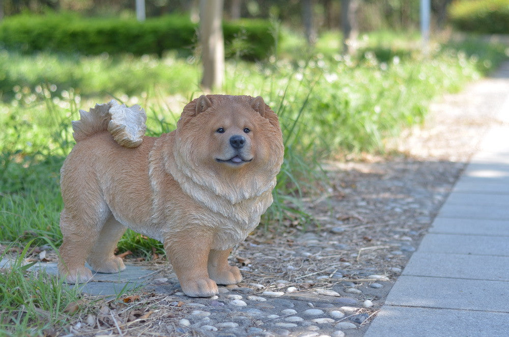 Standing Chow Chow Dog Statue