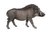 Walking Warthog