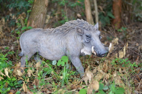 Walking Warthog