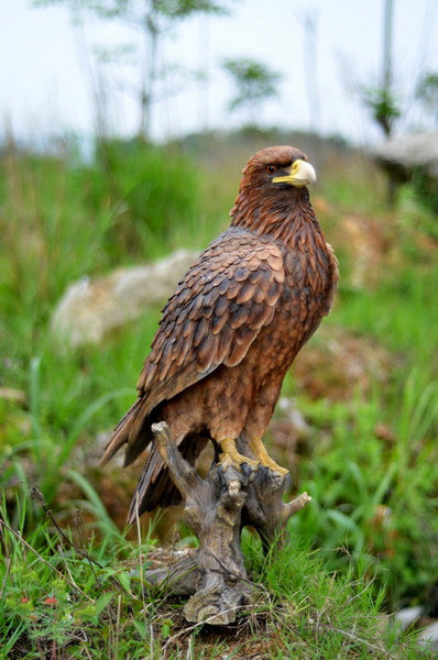 Golden Eagle