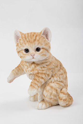 Cat-Orange Tabby Kitten Playing