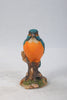 Kingfisher On Stump