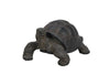 Tortoise Statue - Small