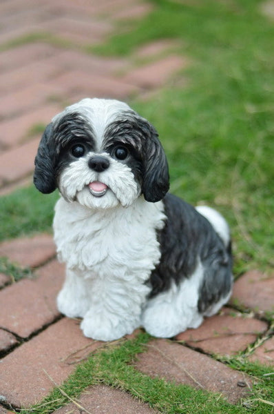 Sitting Dog - Shih Tzu Black/White