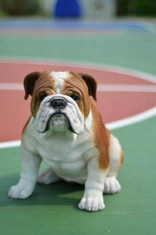 Dog - Bulldog - Large