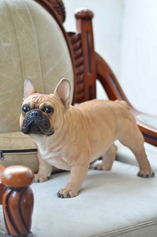 Dog - French Bulldog - Large