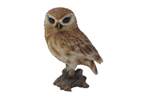 Brown Owl On Stump -  Small