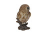 Brown Owl On Stump -  Small