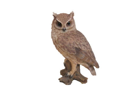 Screech Owl On Stump -  Small