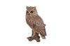 Screech Owl On Stump -  Small
