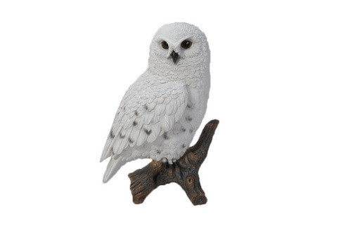 Snowy Owl On Stump - Small