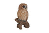 Tawny Owl On Stump -  Small