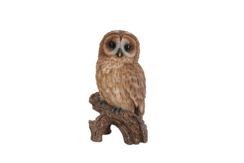 Tawny Owl On Stump -  Small