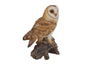Barn Owl On Stump - Small
