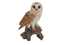 Barn Owl On Stump - Small