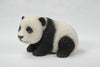 baby panda crawling side