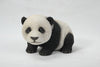 baby panda crawling main